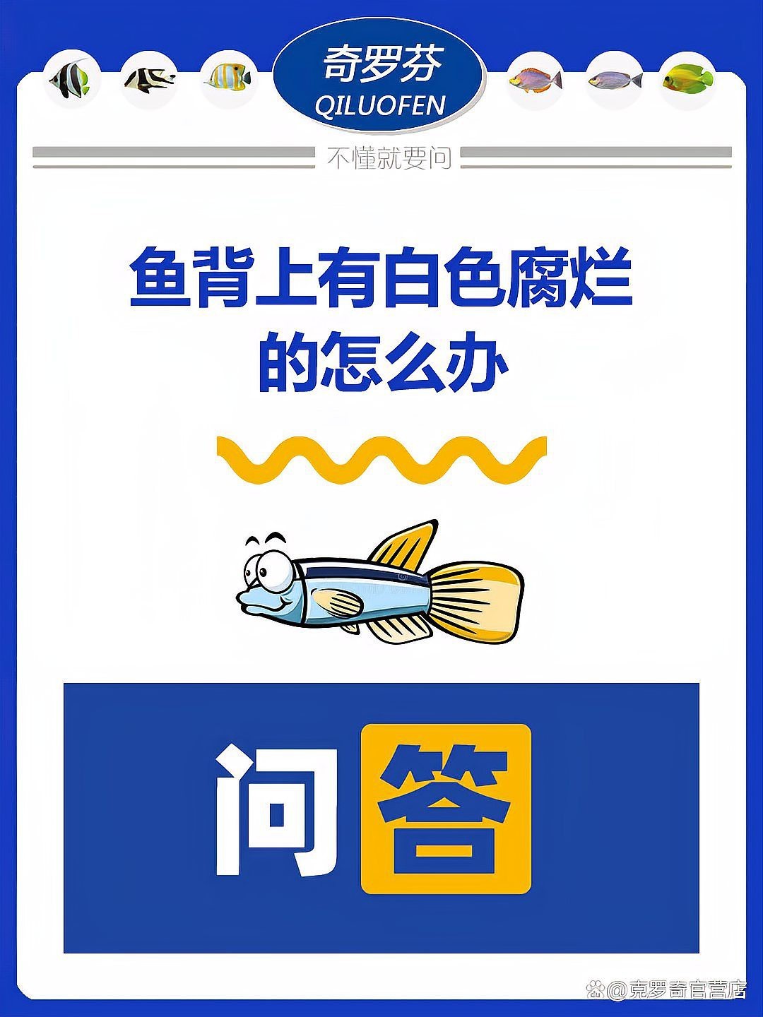 德系皮鯉發白【德系皮鯉體色發白怎么辦】