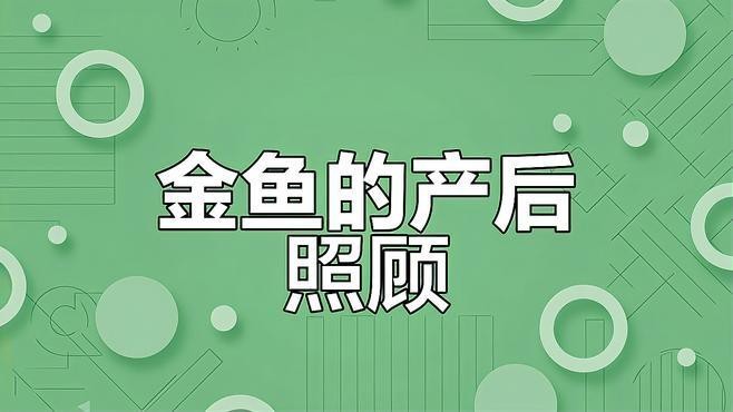 金龍魚生小魚后如何護(hù)理？【母魚生完小魚后，如何正確照顧避免意外】