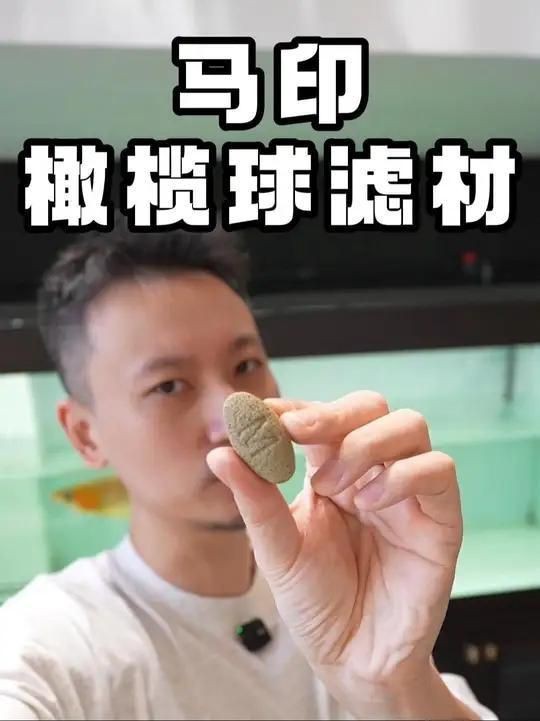 馬印橄欖球濾材好嗎？【馬印橄欖球濾材怎么樣】 馬印橄欖球濾材好嗎？【馬印橄欖球濾材怎么樣】 龍魚百科 第2張