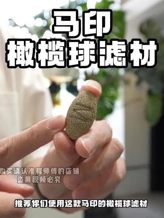 馬印橄欖球濾材好嗎？【馬印橄欖球濾材怎么樣】 馬印橄欖球濾材好嗎？【馬印橄欖球濾材怎么樣】 龍魚百科 第7張