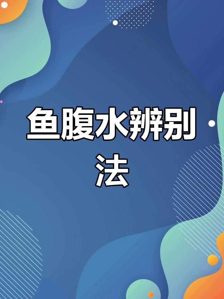 如何判斷魚腹水是否嚴(yán)重？【奶兔球球腹水初期癥狀與治療觀賞魚腹水初期癥狀與治療】