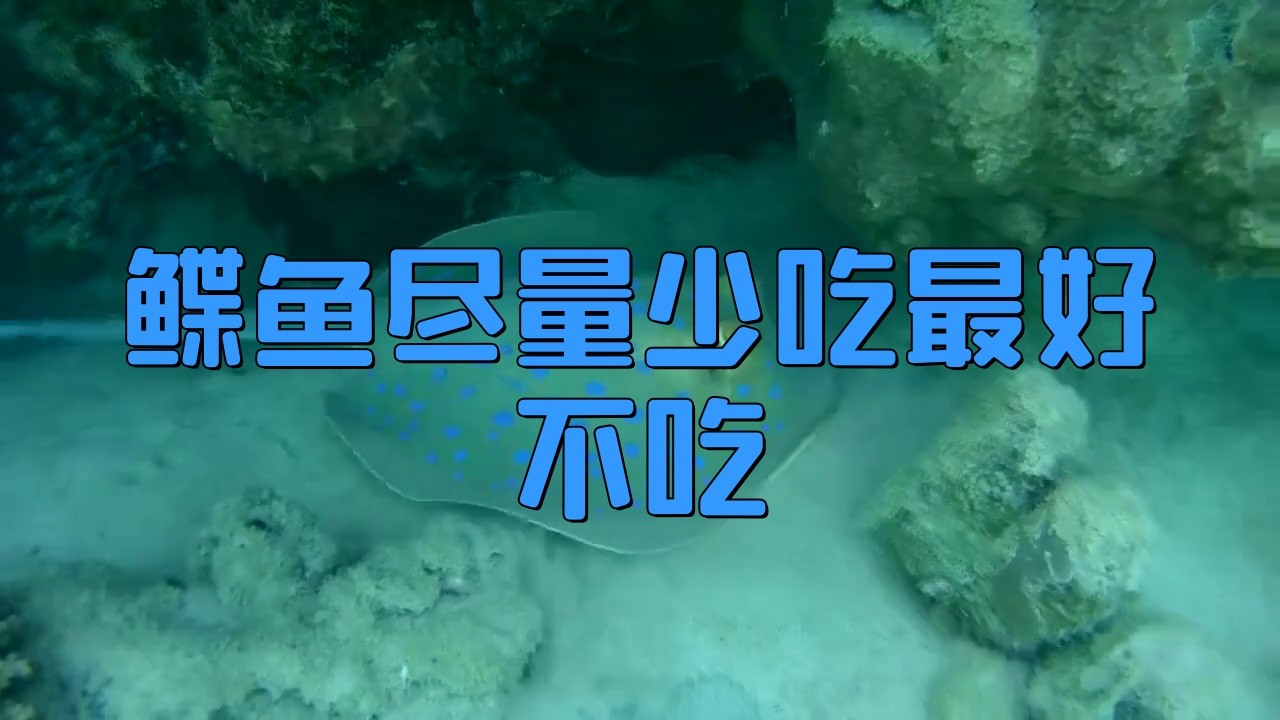 鰈魚(yú)盡量少吃的原因【為什么不建議吃鰈魚(yú)】