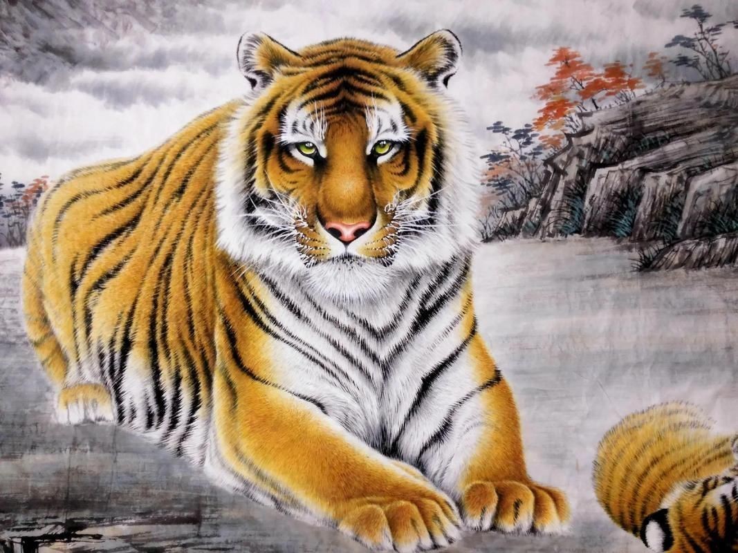 老虎畫大全100幅【《老虎畫大全100幅》】 老虎畫大全100幅【《老虎畫大全100幅》】 龍魚百科 第18張