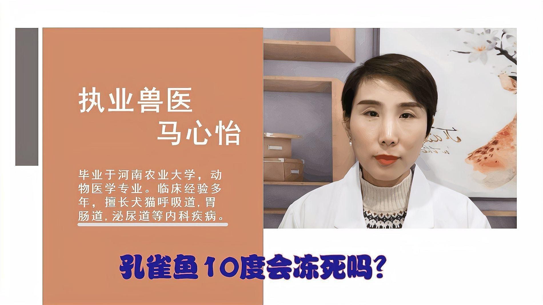 冷水孔雀魚凍不死【冷水孔雀魚在10度的水里會凍死嗎揭秘它們的生存智慧】