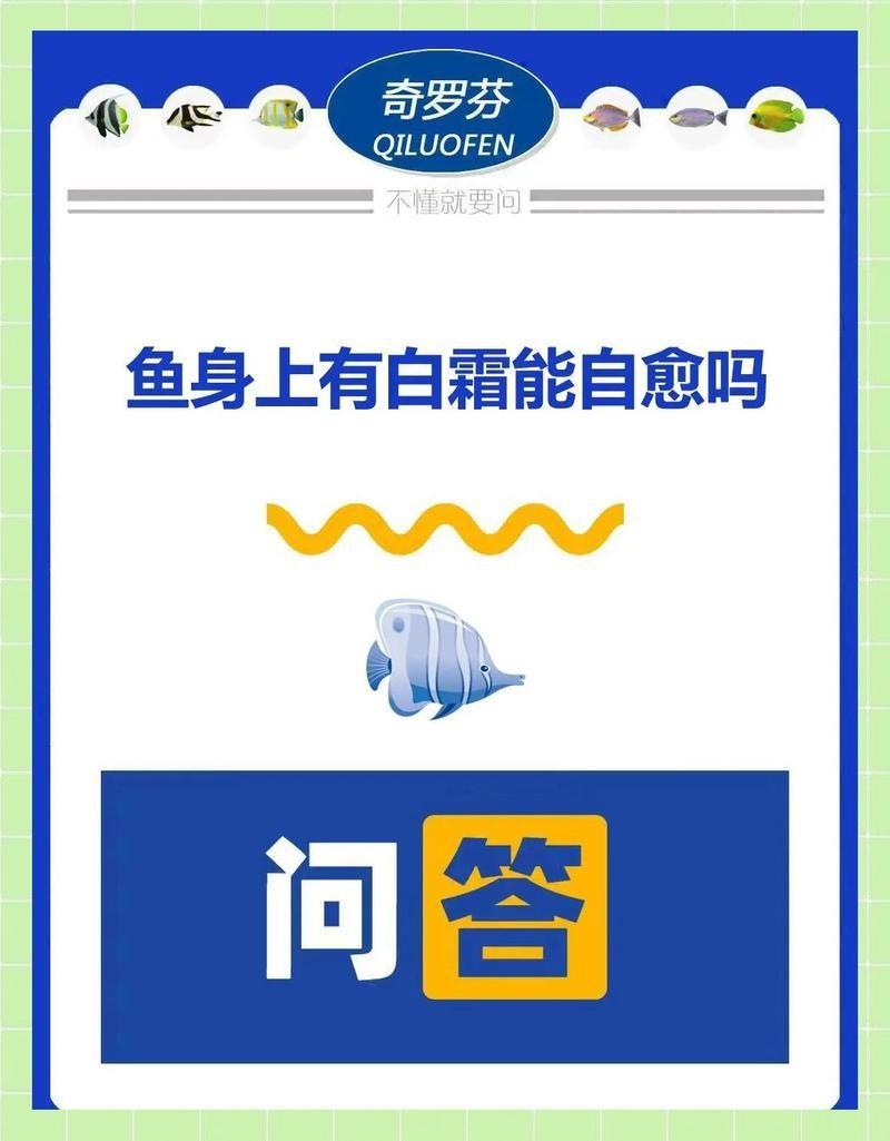 龍魚眼睛白點會自愈嗎？【龍魚眼睛出現白點是否會自愈】 龍魚眼睛白點會自愈嗎？【龍魚眼睛出現白點是否會自愈】 龍魚百科 第3張