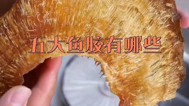 世界十大頂級魚膠