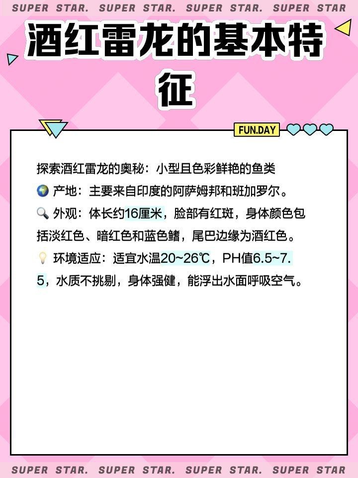 酒紅雷龍魚能混養(yǎng)嗎【酒紅雷龍魚可以混養(yǎng)嗎】