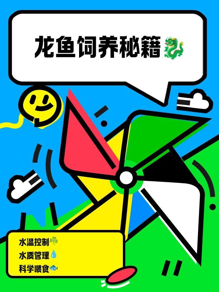 號半龍魚日常護理