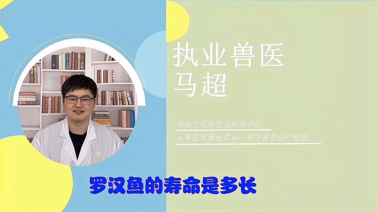 羅漢魚壽命最長的品種【珍珠系羅漢魚能活多久】
