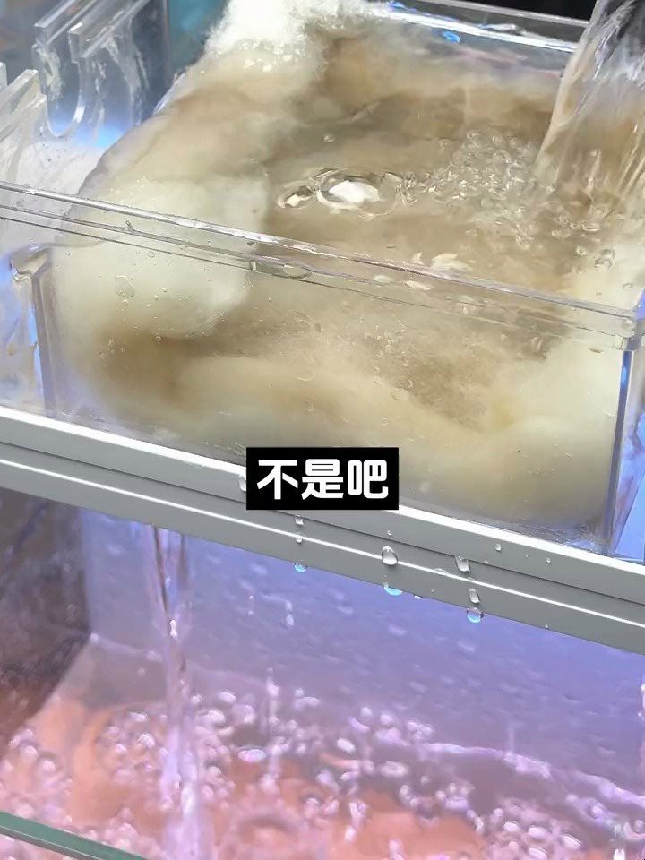 龍魚缸不堵水最簡單三個方法【龍魚缸如何保養？】
