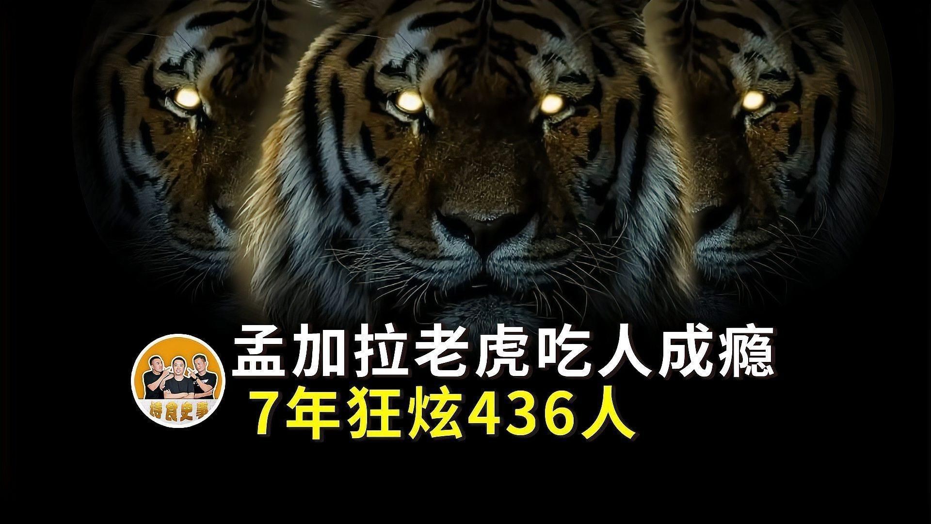 老虎吃人真實案例視頻【東北虎變“吃人虎”,爬樹咬死女工拖走尸體】