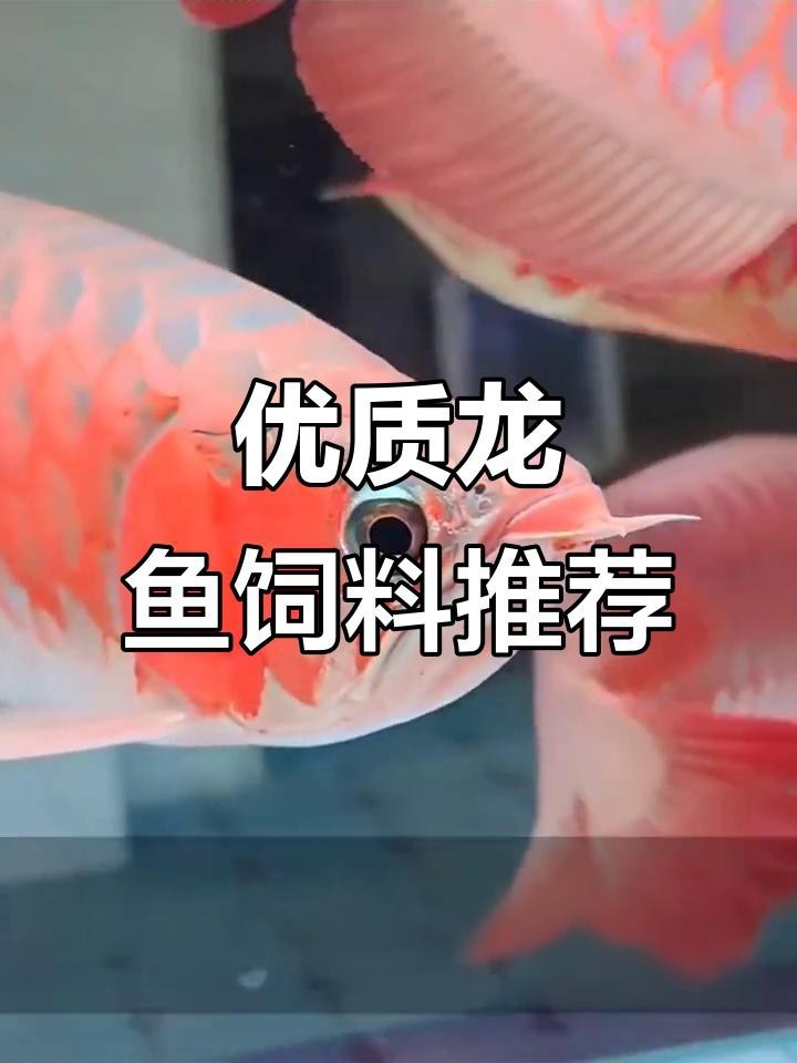給我推薦一些金龍魚(yú)專(zhuān)用飼料