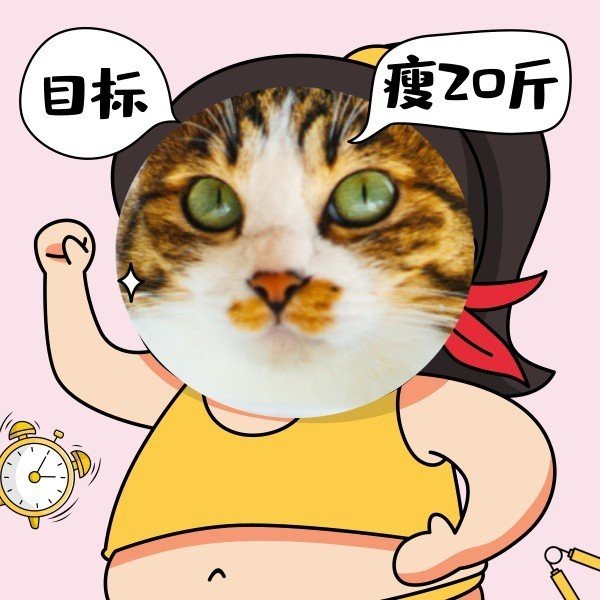 紅龍微信頭像尺寸一般是多大【紅龍微信頭像尺寸】