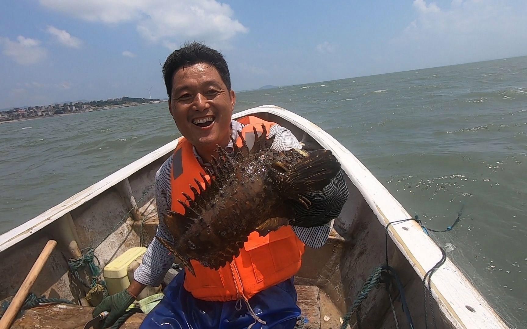 老虎魚貴不貴【老虎魚價格一般多少錢一斤】 老虎魚貴不貴【老虎魚價格一般多少錢一斤】 龍魚百科 第4張