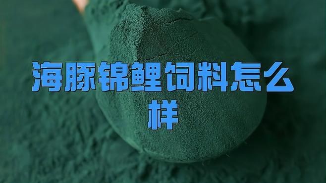 錦鯉飼料最好三個牌子【#錦鯉飼料最好三個牌子摘要，優(yōu)質(zhì)飼料對錦鯉生長發(fā)育、體色增艷至關(guān)重要】