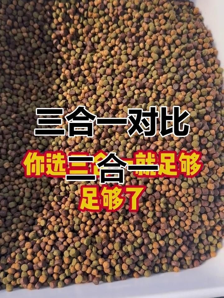 錦鯉飼料最好三個牌子【#錦鯉飼料最好三個牌子摘要，優(yōu)質(zhì)飼料對錦鯉生長發(fā)育、體色增艷至關(guān)重要】
