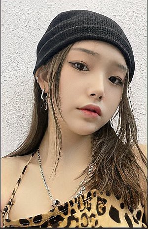 鯊魚的女朋友有多少粉絲【《鯊魚的女朋友有多少粉絲》】