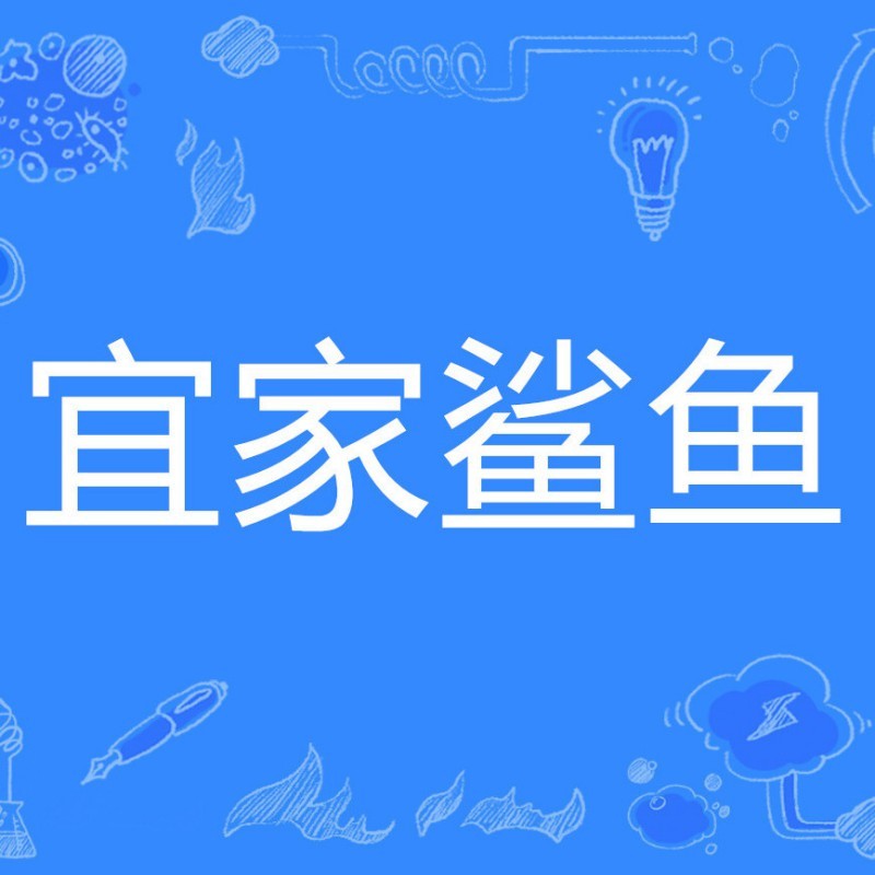 鯊魚的女朋友有多少粉絲【《鯊魚的女朋友有多少粉絲》】