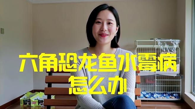 如何治療龍魚真菌病？【**龍魚真菌病怎么治真菌和細菌感染全解析】