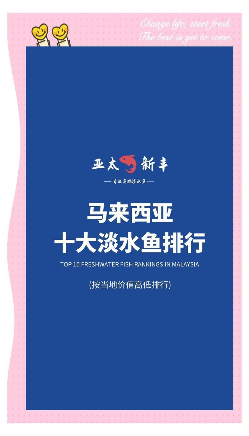馬來西亞十大名貴魚【馬來西亞什么魚最貴水果直達】