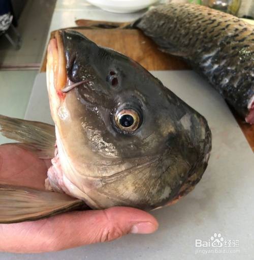熗鯉魚家庭最簡(jiǎn)單做法大全【家常熗鯉魚的三重奏：從入門到精通的味覺之旅，熗鯉魚的做法】