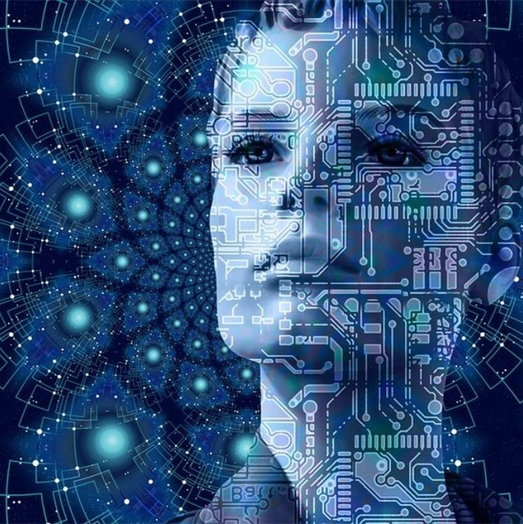 觀賞魚價格表2024【2018觀賞魚價格表2024】