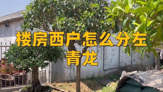 現(xiàn)代住宅如何應(yīng)用左青龍風(fēng)水？【現(xiàn)代住宅如何設(shè)置左青龍位？】