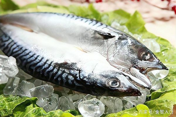 鯖魚為什么很多人不吃【 鯖魚為什么很多人不吃【\