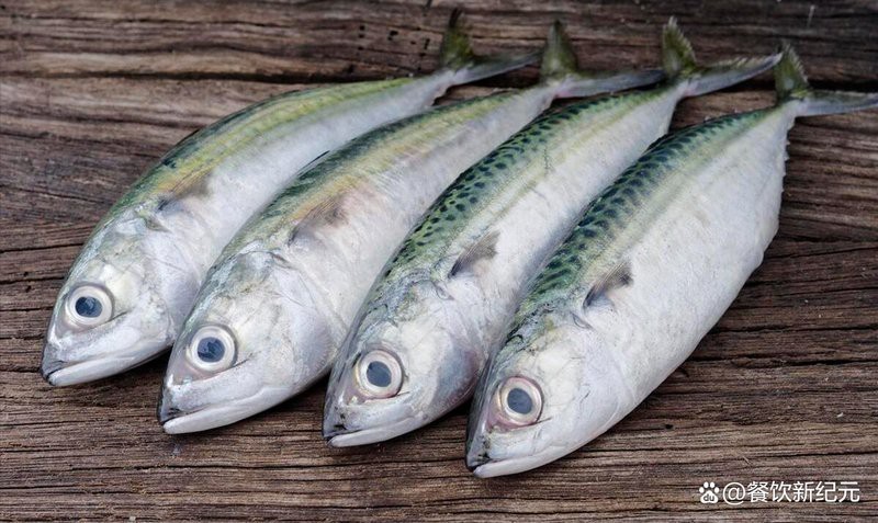 鯖魚為什么很多人不吃【 鯖魚為什么很多人不吃【\