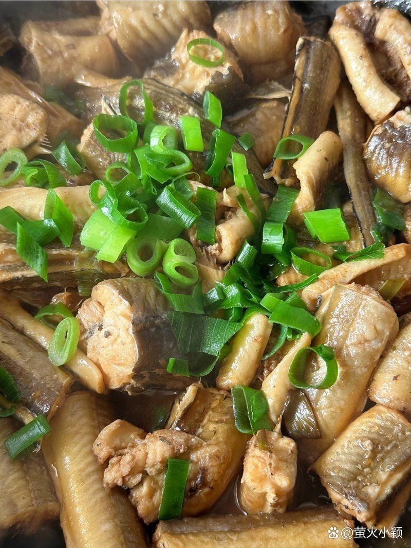 鰻鱗魚屬于什么檔次【40種“好吃不貴”的野生海魚(下),大海的美味】 龍魚百科 第2張 鰻鱗魚屬于什么檔次【40種“好吃不貴”的野生海魚(下),大海的美味】 鰻鱗魚屬于什么檔次【40種“好吃不貴”的野生海魚(下),大海的美味】 龍魚百科 第2張