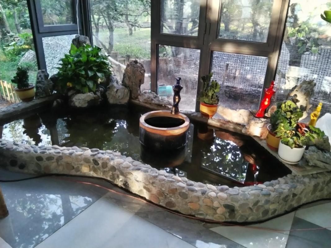 露天魚池設計圖片【13個適合自己diy的“庭院魚池”，網友：回家立馬開挖！】