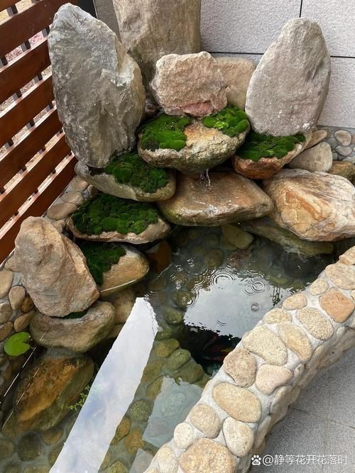露天魚池設計圖片【13個適合自己diy的“庭院魚池”，網友：回家立馬開挖！】