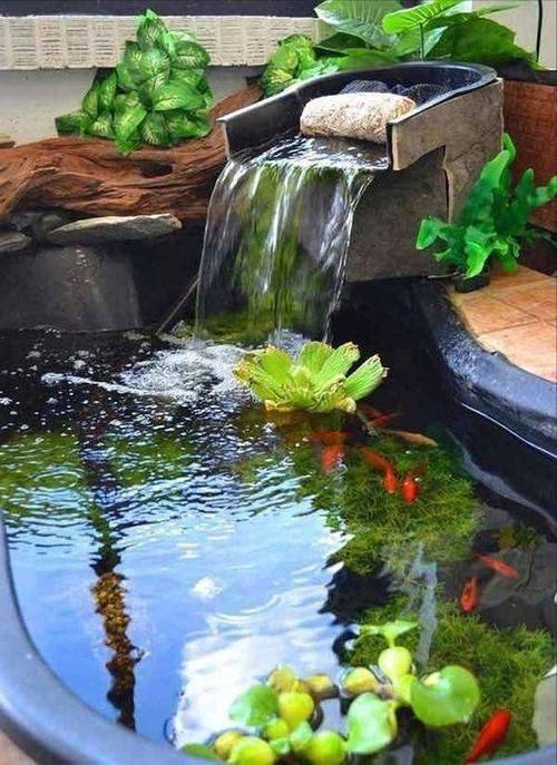 露天魚池設計圖片【13個適合自己diy的“庭院魚池”，網友：回家立馬開挖！】