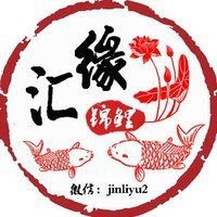 錦鯉白寫(xiě)挑選標(biāo)準(zhǔn)【白寫(xiě)錦鯉白寫(xiě)錦鯉的挑選標(biāo)準(zhǔn)與優(yōu)質(zhì)白寫(xiě)錦鯉的挑選標(biāo)準(zhǔn)】 錦鯉白寫(xiě)挑選標(biāo)準(zhǔn)【白寫(xiě)錦鯉白寫(xiě)錦鯉的挑選標(biāo)準(zhǔn)與優(yōu)質(zhì)白寫(xiě)錦鯉的挑選標(biāo)準(zhǔn)】 龍魚(yú)百科 第2張