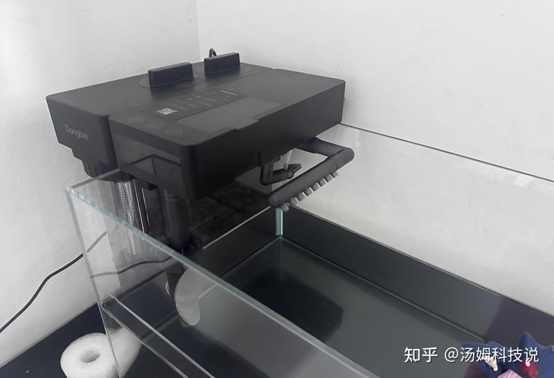 給我推薦幾款適合招財貓魚的過濾器【招財貓魚過濾器推薦】 給我推薦幾款適合招財貓魚的過濾器【招財貓魚過濾器推薦】 龍魚百科 第2張