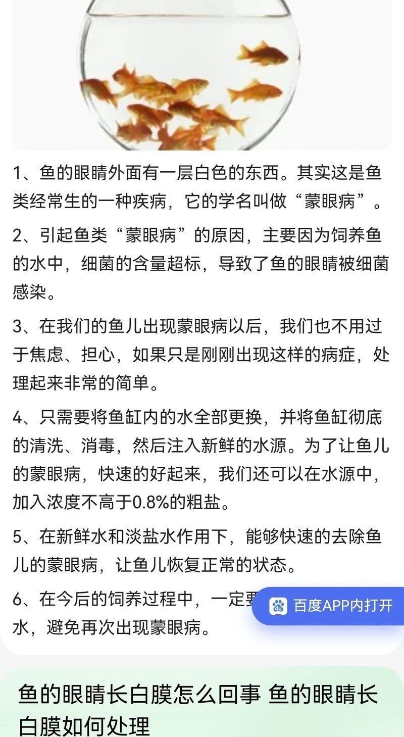 魚蒙眼期間需要喂食嗎？【橘媽的橘子是只喵】