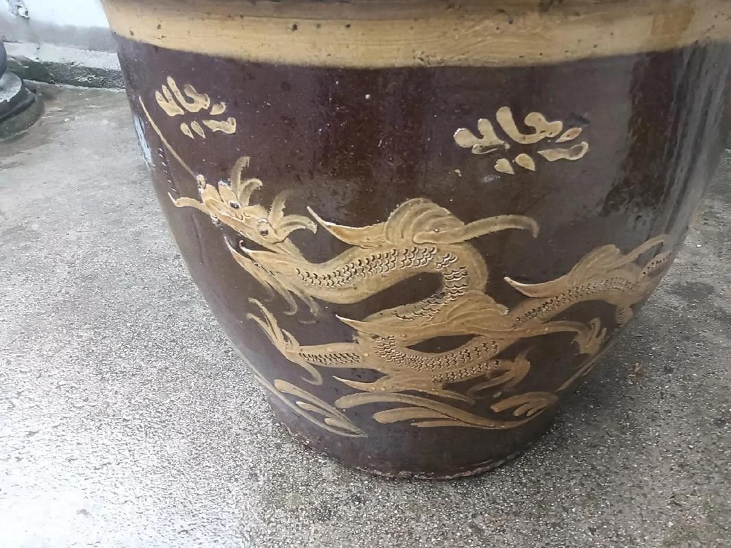 龍缸尺寸圖解【《龍缸尺寸圖解》詳細介紹了龍缸的各類尺寸相關內容】