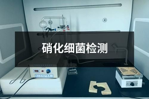 如何判斷硝化菌是否失敗？【如何判斷古法魚缸中的硝化細(xì)菌已經(jīng)死亡養(yǎng)魚老道】