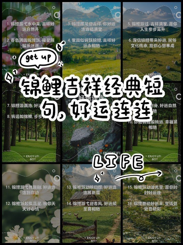 錦鯉最經(jīng)典的一句【錦鯉文化中最經(jīng)典的一句是什么？】