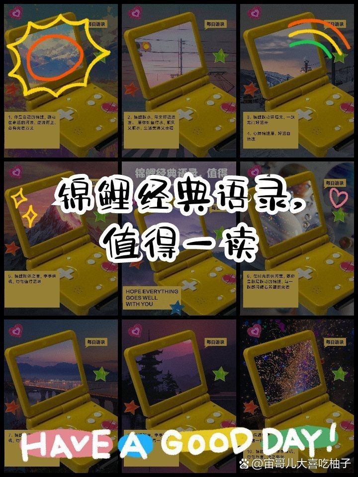 錦鯉最經(jīng)典的一句【錦鯉文化中最經(jīng)典的一句是什么？】