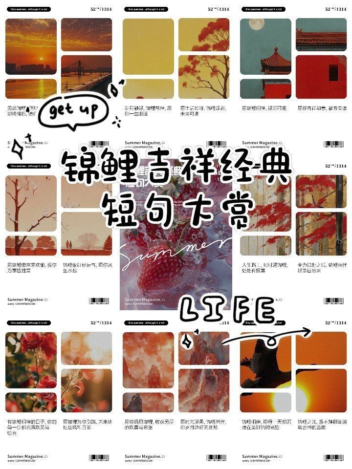 錦鯉最經(jīng)典的一句【錦鯉文化中最經(jīng)典的一句是什么？】