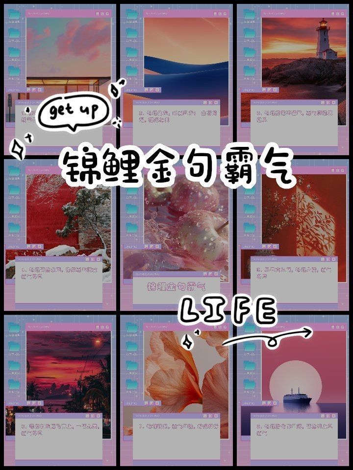 錦鯉最經(jīng)典的一句【錦鯉文化中最經(jīng)典的一句是什么？】