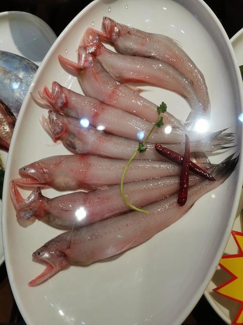 龍頭魚圖片【《探秘龍頭魚的奧秘星光點點龍頭魚的奧秘星光點點龍頭魚】 龍頭魚圖片【《探秘龍頭魚的奧秘星光點點龍頭魚的奧秘星光點點龍頭魚】 龍魚論壇 第7張