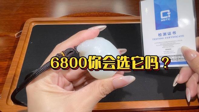 龍龜手把件的價格范圍是多少？【龍龜手把件有哪些寓意，龍龜手把件哪個材質最好？】 龍龜手把件的價格范圍是多少？【龍龜手把件有哪些寓意，龍龜手把件哪個材質最好？】 龍魚論壇 第5張