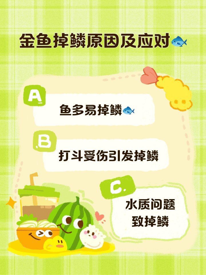 龍魚箭蟲病的復發率是衡量疾病管理效果的重要指標，如何判斷龍魚是否感染了箭蟲?。?></span></p><p class=