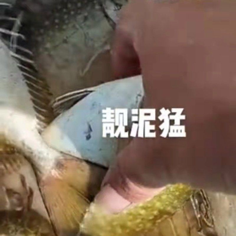藍月光魚10元一只貴嗎【藍月光魚10元一只是否貴】
