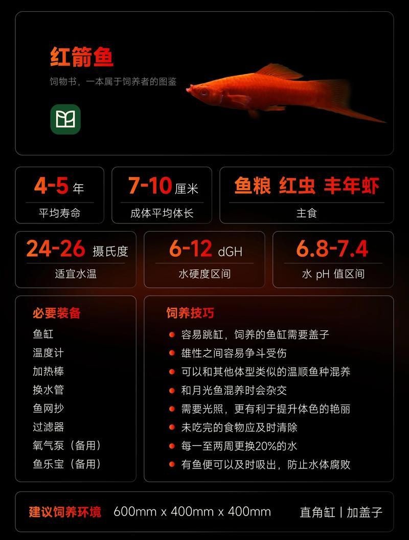紅箭魚公母最簡單辨認(rèn)【紅箭魚公母的簡單辨認(rèn)方法】