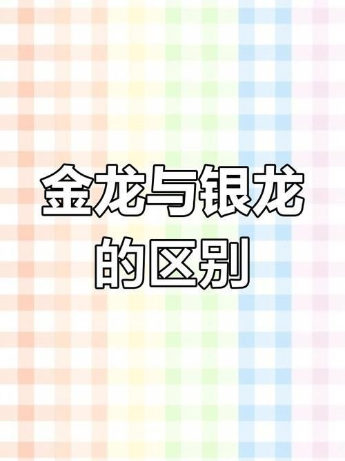 金龍和銀龍的圖片對比【《金龍和銀龍的圖片對比》】