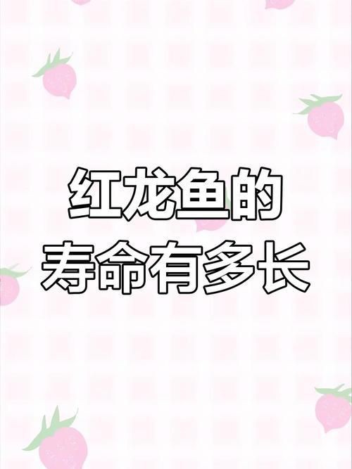金龍和銀龍的圖片對比【《金龍和銀龍的圖片對比》】