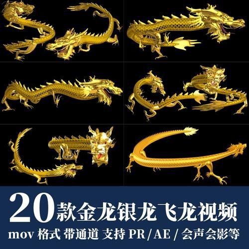 金龍和銀龍的圖片對比【《金龍和銀龍的圖片對比》】